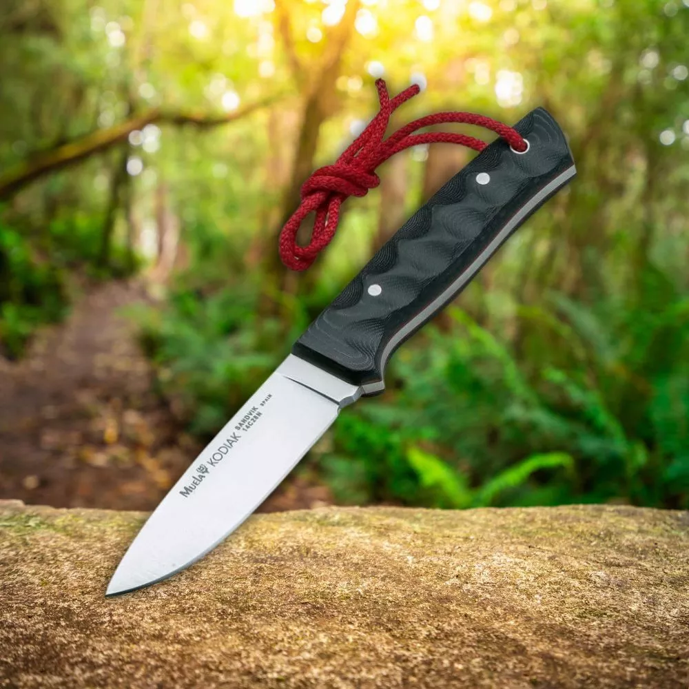 Cuchillo Kodiak supervivencia de Muela empuñadura negra micarta