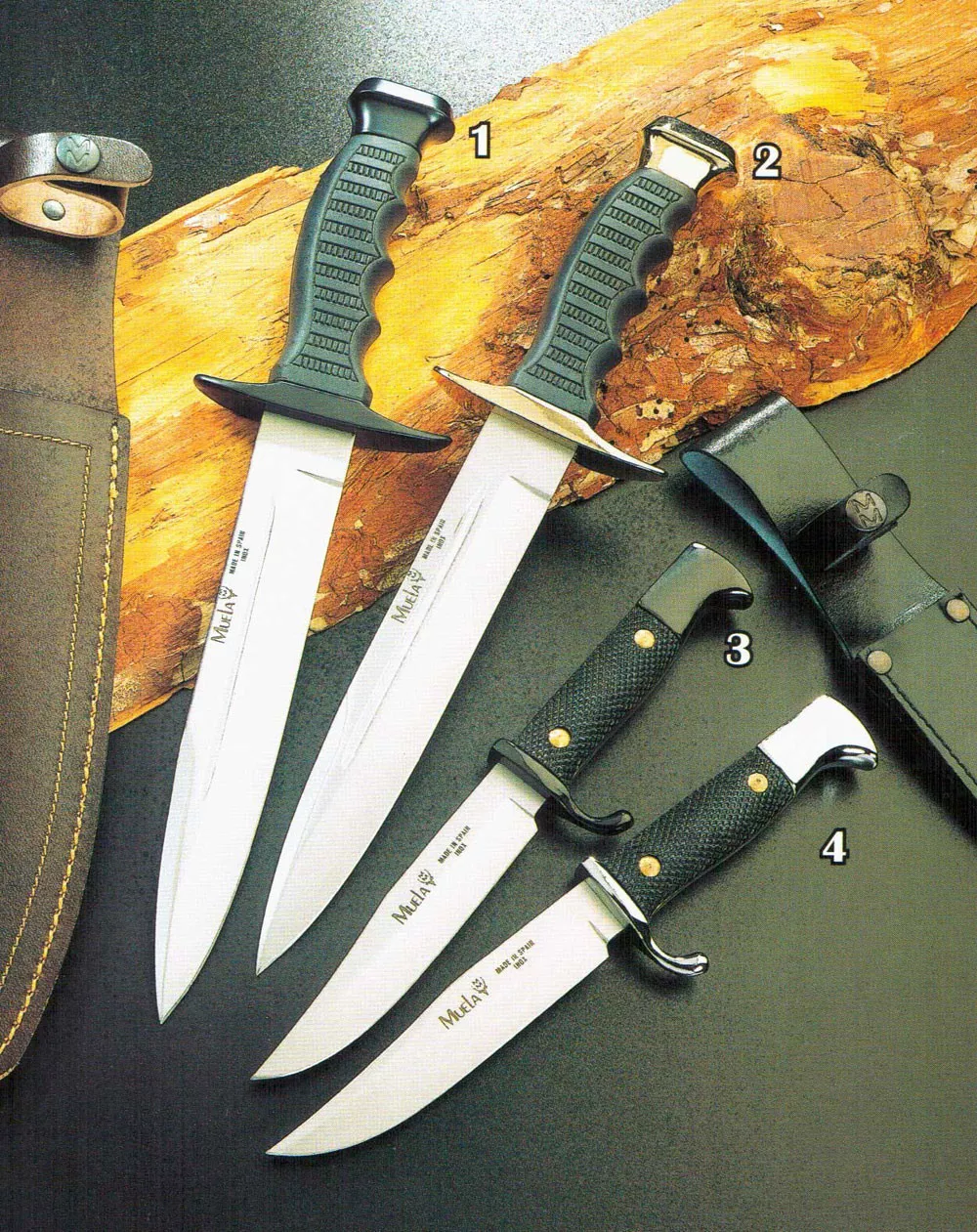 Cuchillo Mountain de Muela