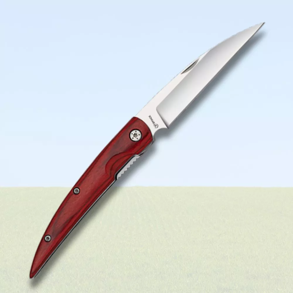 Navaja de campo Albainox, pico loro (19,4 cm.)