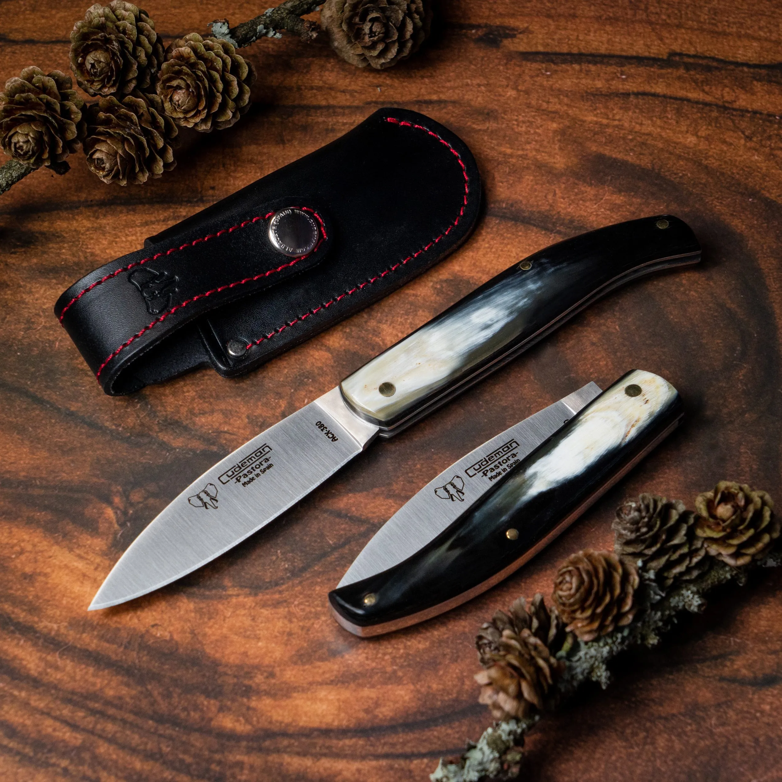 Navaja de caza Pastora, mango asta de toro pulida (con funda)