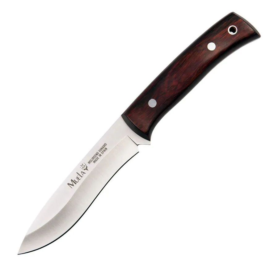 Cuchillo de caza Muela hoja acero MoVa