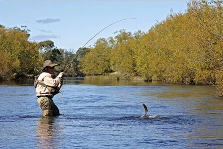 Aprende-a-practicar-la-pesca-deportiva