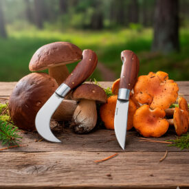 ¿Navaja para setas curva o recta? Descubre la ideal para cortar boletus y níscalos con precisión navajas-setas-rectas-curvas
